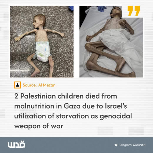 At least two children died in Gaza as a result of malnutrition amid the ongoing Israeli blockade during the last 48 hour